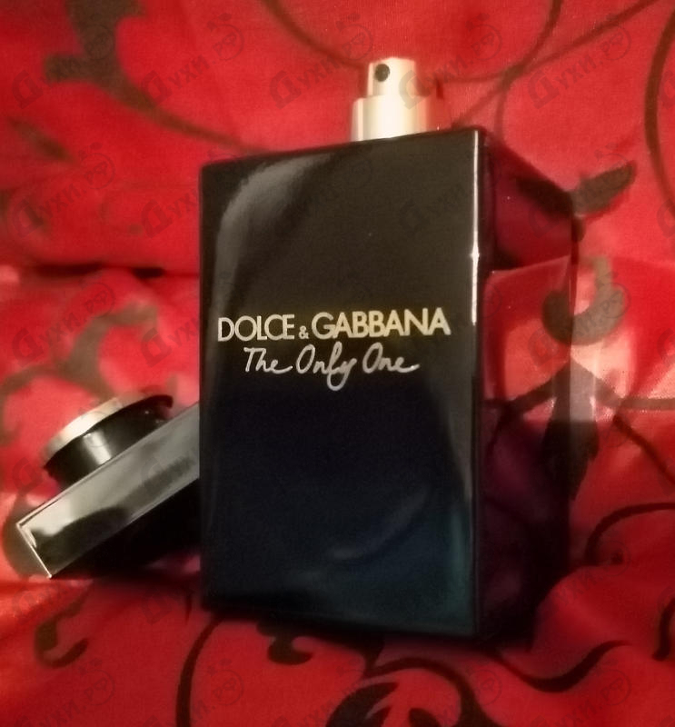 dolce & gabbana the only one intense